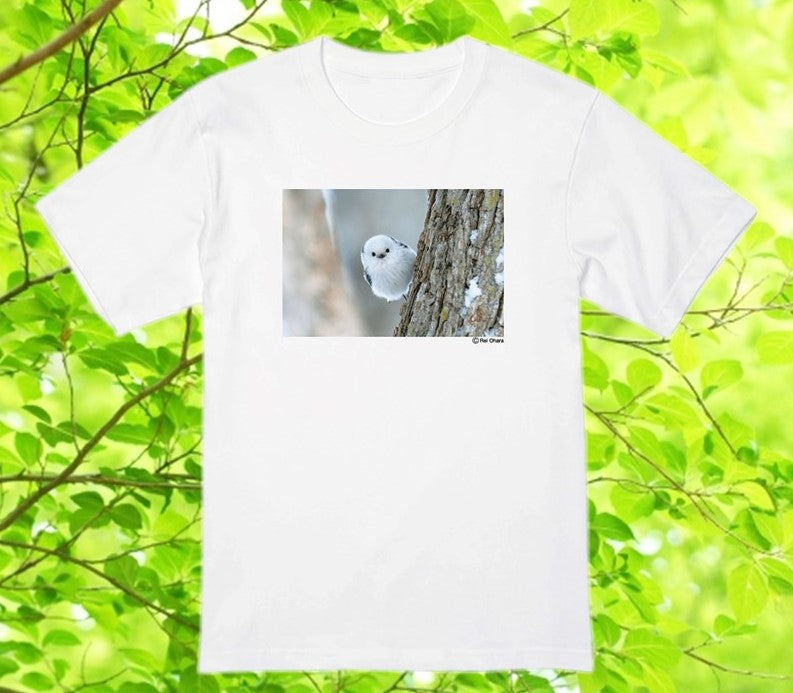 シマエナガちゃんTシャツ Photo by 小原 玲