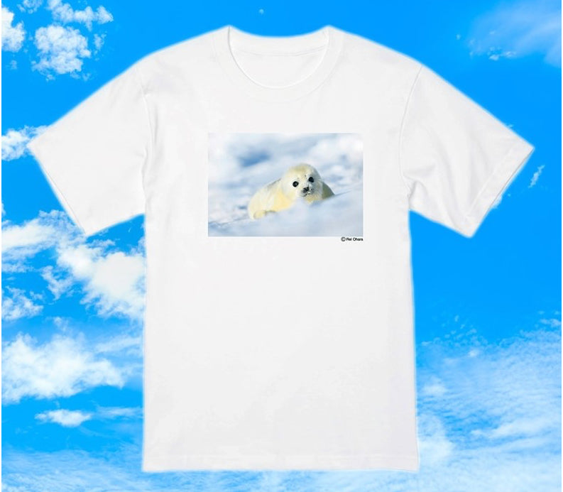 アザラシ赤ちゃんTシャツ Photo by 小原 玲